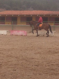  pupilaje de caballos, doma natural de caballos , caballos para espectáculos , caballos para eventos , caballos tres tombs , transporte de caballos , doma de potros,  presentador de cobras , cobras de yeguas ,  doma de caballos alta escuela , Barcelona , Tarragona  