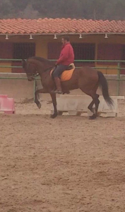 Doma de caballos , domador de caballos , enganches de caballos , caballos de enganche , caballos para bodas , enganches de caballos para bodas , caballos para comuniones, caballos para bautizos , carruajes de caballos , Barcelona , Tarragona 