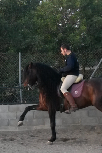 Doma de caballos , domador de caballos , enganches de caballos , caballos de enganche , caballos para bodas , enganches de caballos para bodas , caballos para comuniones, caballos para bautizos , carruajes de caballos , Barcelona , Tarragona 