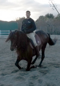 Doma de caballos , domador de caballos , enganches de caballos , caballos de enganche , caballos para bodas , enganches de caballos para bodas , caballos para comuniones, caballos para bautizos , carruajes de caballos , Barcelona , Tarragona 