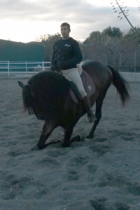 Doma de caballos , domador de caballos , enganches de caballos , caballos de enganche , caballos para bodas , enganches de caballos para bodas , caballos para comuniones, caballos para bautizos , carruajes de caballos , Barcelona , Tarragona 