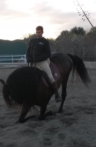  pupilaje de caballos, doma natural de caballos , caballos para espectáculos , caballos para eventos , caballos tres tombs , transporte de caballos , doma de potros,  presentador de cobras , cobras de yeguas ,  doma de caballos alta escuela , Barcelona , Tarragona  