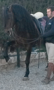 Doma de caballos , domador de caballos , enganches de caballos , caballos de enganche , caballos para bodas , enganches de caballos para bodas , caballos para comuniones, caballos para bautizos , carruajes de caballos , Barcelona , Tarragona 