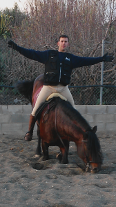 Doma de caballos , domador de caballos , enganches de caballos , caballos de enganche , caballos para bodas , enganches de caballos para bodas , caballos para comuniones, caballos para bautizos , carruajes de caballos , Barcelona , Tarragona 