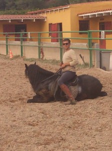 CABALLOS, POTROS, LLEGUAS, DOMA, DOMADOR DE CABALLOS, ENGANCHE CABALLOS, DOMA DE POTROS, CABALLOS ENGANCHADOS, SE DOMAN CABALLOS PARA ENGANCHE, BARCELONA 