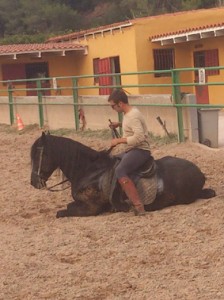 CABALLOS, POTROS, LLEGUAS, DOMA, DOMADOR DE CABALLOS, ENGANCHE CABALLOS, DOMA DE POTROS, CABALLOS ENGANCHADOS, SE DOMAN CABALLOS PARA ENGANCHE, BARCELONA 