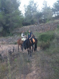 DOMA DE POTROS, CABALLOS ENGANCHADOS, SE DOMAN CABALLOS PARA ENGANCHE, BARCELONA 