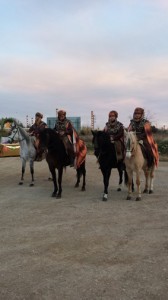 CABALLOS ENGANCHADOS, SE DOMAN CABALLOS PARA ENGANCHE, BARCELONA 