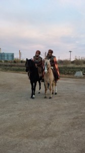 DOMA, DOMADOR DE CABALLOS, ENGANCHE CABALLOS, DOMA DE POTROS,CABALLOS ENGANCHADOS, SE DOMAN CABALLOS PARA ENGANCHE, BARCELONA 