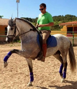 DOMA, DOMADOR DE CABALLOS, ENGANCHE CABALLOS, DOMA DE POTROS, CABALLOS ENGANCHADOS, SE DOMAN CABALLOS PARA ENGANCHE, BARCELONA 