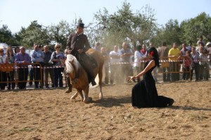 Doma de caballos , domador de caballos , enganches de caballos , caballos de enganche , caballos para bodas , enganches de caballos para bodas , caballos para comuniones, caballos para bautizos , carruajes de caballos , Barcelona , Tarragona 