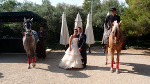 domador caballos en,  Domador profesional y profesor de equitación, caballos domados baratos, domador de caballos en vaquera y alta escuela, Educación Equina, Tarragona 