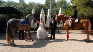 CABALLOS Y CARRUAJES PARA BODAS, COMUNIONES, BAUTIZOS, TARRAGONA, BARCELONA