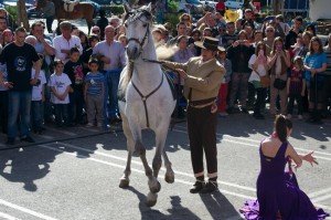 pupilaje de caballos, doma natural de caballos , caballos para espectáculos , caballos para eventos , caballos tres tombs , transporte de caballos , doma de potros,  presentador de cobras , cobras de yeguas ,  doma de caballos alta escuela , Barcelona , Tarragona  