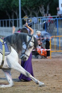 Doma de caballos , domador de caballos , enganches de caballos , caballos de enganche , caballos para bodas , enganches de caballos para bodas , caballos para comuniones, caballos para bautizos , carruajes de caballos , Barcelona , Tarragona 