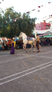 Doma de caballos , domador de caballos , enganches de caballos , caballos de enganche , caballos para bodas , enganches de caballos para bodas , caballos para comuniones, caballos para bautizos , carruajes de caballos , pupilaje de caballos, doma natural de caballos , caballos para espectáculos,  espectáculos ecuestres , caballos para eventos , caballos tres tombs , transporte de caballos , doma de potros,  presentador de cobras , cobras de yeguas ,  doma de caballos alta escuela , Barcelona , Tarragona, domador de caballos , doma de caballos , enganche de caballos . espectáculos ecuestres