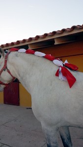 Doma de caballos , domador de caballos , enganches de caballos , caballos de enganche , caballos para bodas , enganches de caballos para bodas , caballos para comuniones, caballos para bautizos , carruajes de caballos , pupilaje de caballos, doma natural de caballos , caballos para espectáculos,  espectáculos ecuestres , caballos para eventos , caballos tres tombs , transporte de caballos , doma de potros,  presentador de cobras , cobras de yeguas ,  doma de caballos alta escuela , Barcelona , Tarragona, domador de caballos , doma de caballos , enganche de caballos . espectáculos ecuestres