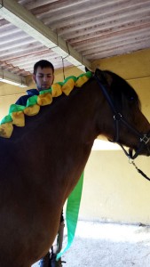 Doma de caballos , domador de caballos , enganches de caballos , caballos de enganche , caballos para bodas , enganches de caballos para bodas , caballos para comuniones, caballos para bautizos , carruajes de caballos , pupilaje de caballos, doma natural de caballos , caballos para espectáculos,  espectáculos ecuestres , caballos para eventos , caballos tres tombs , transporte de caballos , doma de potros,  presentador de cobras , cobras de yeguas ,  doma de caballos alta escuela , Barcelona , Tarragona, domador de caballos , doma de caballos , enganche de caballos . espectáculos ecuestres