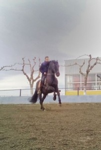 Doma de caballos , domador de caballos , enganches de caballos , caballos de enganche , caballos para bodas , enganches de caballos para bodas , caballos para comuniones, caballos para bautizos , carruajes de caballos , pupilaje de caballos, doma natural de caballos , caballos para espectáculos,  espectáculos ecuestres, caballos para eventos , caballos tres tombs , transporte de caballos , doma de potros,  presentador de cobras , cobras de yeguas ,  doma de caballos alta escuela , Barcelona , Tarragona, domador de caballos , doma de caballos , enganche de caballos . espectáculos ecuestres