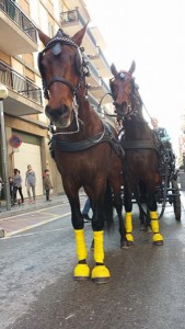 Doma de caballos , domador de caballos , enganches de caballos , caballos de enganche , caballos para bodas , enganches de caballos para bodas , caballos para comuniones, caballos para bautizos , carruajes de caballos , pupilaje de caballos, doma natural de caballos , caballos para espectáculos,  espectáculos ecuestres, caballos para eventos , caballos tres tombs , transporte de caballos , doma de potros,  presentador de cobras , cobras de yeguas ,  doma de caballos alta escuela , Barcelona , Tarragona, domador de caballos , doma de caballos , enganche de caballos . espectáculos ecuestres