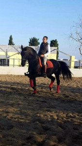 Doma de caballos , domador de caballos , enganches de caballos , caballos de enganche , caballos para bodas , enganches de caballos para bodas , caballos para comuniones, caballos para bautizos , carruajes de caballos , pupilaje de caballos, doma natural de caballos , caballos para espectáculos,  espectáculos ecuestres, caballos para eventos , caballos tres tombs , transporte de caballos , doma de potros,  presentador de cobras , cobras de yeguas ,  doma de caballos alta escuela , Barcelona , Tarragona, domador de caballos , doma de caballos , enganche de caballos , espectáculos ecuestres ,doma clásica, doma vaquera