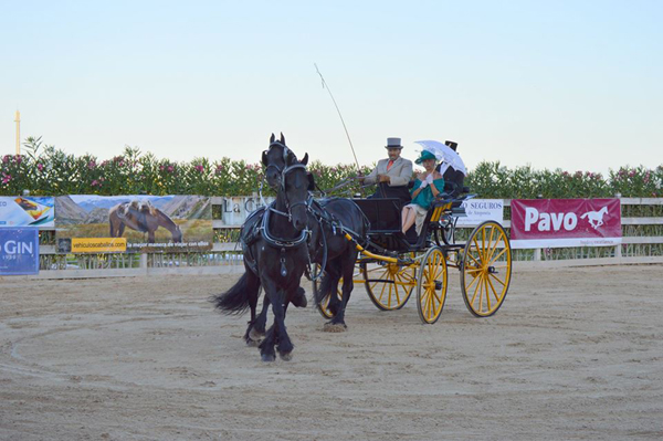 Doma de caballos , domador de caballos , enganches de caballos , caballos de enganche , caballos para bodas , enganches de caballos para bodas , caballos para comuniones, caballos para bautizos , carruajes de caballos , pupilaje de caballos, doma natural de caballos , caballos para espectáculos,  espectáculos ecuestres, caballos para eventos , caballos tres tombs , transporte de caballos , doma de potros,  presentador de cobras , cobras de yeguas ,  doma de caballos alta escuela , Barcelona , Tarragona, domador de caballos , doma de caballos , enganche de caballos , espectáculos ecuestres ,doma clásica, doma vaquera,