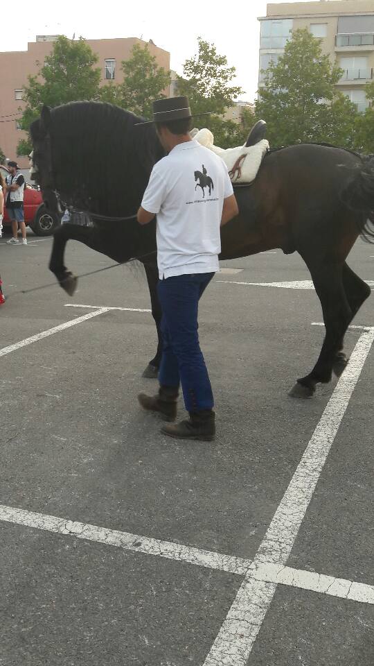 Doma de cavalls, domador de cavalls, enganxalls de cavalls, cavalls d'enganxament, cavalls per a noces, enganxalls de cavalls per a noces, cavalls per a comunions, cavalls per batejos, carruatges de cavalls, pupil•latge de cavalls, doma natural de cavalls, cavalls per a espectacles , espectacles eqüestres, cavalls per a esdeveniments, cavalls tres tombs, transport de cavalls, doma de poltres, presentador de cobres, cobres d'egües, doma de cavalls alta escola, Barcelona, Tarragona, domador de cavalls, doma de cavalls, enganxament de cavalls, espectacles eqüestres, doma clàssica, doma vaquera,