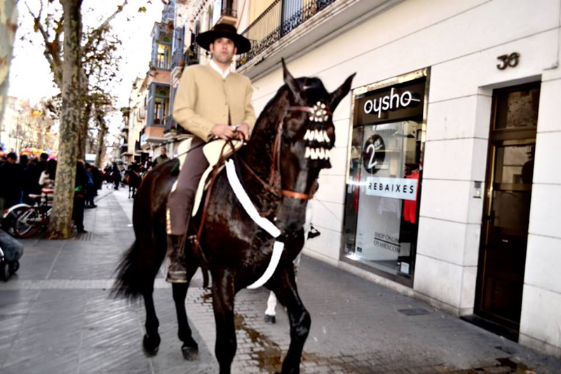 Doma de cavalls, domador de cavalls, enganxalls de cavalls, cavalls d'enganxament, cavalls per a noces, enganxalls de cavalls per a noces, cavalls per a comunions, cavalls per batejos, carruatges de cavalls, pupil•latge de cavalls, doma natural de cavalls, cavalls per a espectacles , espectacles eqüestres, cavalls per a esdeveniments, cavalls tres tombs, transport de cavalls, doma de poltres, presentador de cobres, cobres d'egües, doma de cavalls alta escola, Barcelona, Tarragona, domador de cavalls, doma de cavalls, enganxament de cavalls, espectacles eqüestres, doma clàssica, doma vaquera