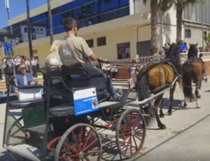 Doma de caballos , domador de caballos , enganches de caballos , caballos de enganche , caballos para bodas , enganches de caballos para bodas , caballos para comuniones, caballos para bautizos , carruajes de caballos , pupilaje de caballos, doma natural de caballos , caballos para espectáculos,  espectáculos ecuestres, caballos para eventos , caballos tres tombs , transporte de caballos , doma de potros,  presentador de cobras , cobras de yeguas ,  doma de caballos alta escuela , Barcelona , Tarragona, domador de caballos , doma de caballos , enganche de caballos , espectáculos ecuestres ,doma clásica, doma vaquera