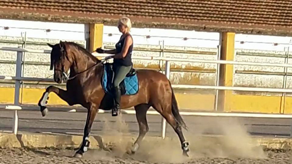 Doma de caballos , domador de caballos , enganches de caballos , caballos de enganche , caballos para bodas , enganches de caballos para bodas , caballos para comuniones, caballos para bautizos , carruajes de caballos , pupilaje de caballos, doma natural de caballos , caballos para espectáculos,  espectáculos ecuestres, caballos para eventos , caballos tres tombs , transporte de caballos , doma de potros,  presentador de cobras , cobras de yeguas ,  doma de caballos alta escuela , Barcelona , Tarragona, domador de caballos , doma de caballos , enganche de caballos , espectáculos ecuestres ,doma clásica, doma vaquera