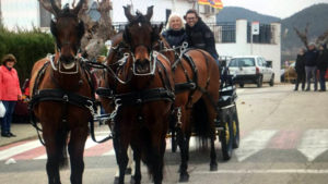 Doma de caballos , domador de caballos , enganches de caballos , caballos de enganche , caballos para bodas , enganches de caballos para bodas , caballos para comuniones, caballos para bautizos , carruajes de caballos , pupilaje de caballos, doma natural de caballos , caballos para espectáculos,  espectáculos ecuestres, caballos para eventos , caballos tres tombs , transporte de caballos , doma de potros,  presentador de cobras , cobras de yeguas ,  doma de caballos alta escuela , Barcelona , Tarragona, domador de caballos , doma de caballos , enganche de caballos , espectáculos ecuestres ,doma clásica, doma vaquera