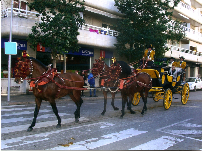 Doma de cavalls, domador de cavalls, enganxalls de cavalls, cavalls d'enganxament, cavalls per a noces, enganxalls de cavalls per a noces, cavalls per a comunions, cavalls per batejos, carruatges de cavalls, pupil•latge de cavalls, doma natural de cavalls, cavalls per a espectacles , espectacles eqüestres, cavalls per a esdeveniments, cavalls tres tombs, transport de cavalls, doma de poltres, presentador de cobres, cobres d'egües, doma de cavalls alta escola, Barcelona, Tarragona, domador de cavalls, doma de cavalls, enganxament de cavalls, espectacles eqüestres, doma clàssica, doma vaquera, Lérida, Gerona, Girona, Lleida, caballos resabiados, reciclaje de caballos, Valls, Villafranca del penedés, Vendrell, La bisbal del penedés, Reus, pupilaje y doma de caballos, centro ecuestre, clases de equitación, centro hípico